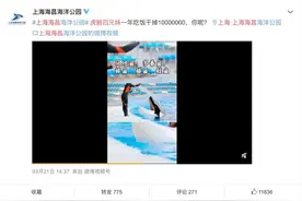 海洋馆生意难做？海昌海洋公园港股“成仙”，市值缩水三分之二图片