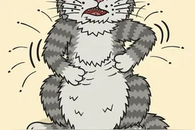 宠物专家回应“养猫致秃”：抵抗力差的人小心猫癣“找上门”图片