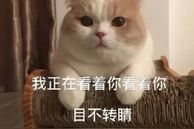 嫌老婆开车太菜，男子“霸气”上阵，这下闯大祸了图片
