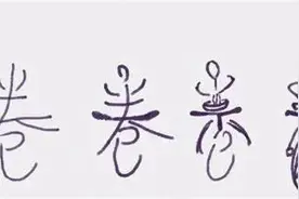 真相是什么，运营商专业公司真的内卷内斗以及太多了吗？图片