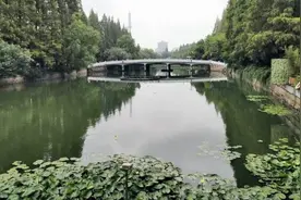 华东师大校河——丽娃河何以得名？图片