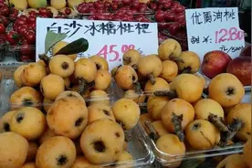 又到吃枇杷的好季节，枇杷初上市最高近60元一斤视频封面