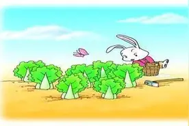 耐耐老师讲故事 |《小白兔种菜》图片