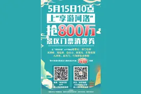 @洛阳人，洛阳市消费券来了！今明两天10:00开抢！图片