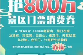 @洛阳人，洛阳市消费券来了！今明两天10:00开抢！图片