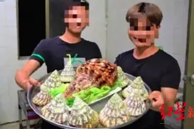 食用国家二级保护动物“法螺”被刑拘 律师：不知情无需承担法律责任，但会根据证据判断图片