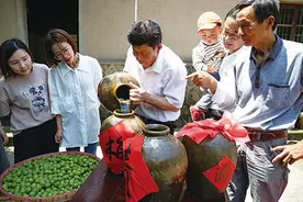 梅子饱满未黄 多酸最宜泡酒图片