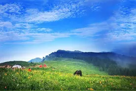 河北石家庄这些旅游景区恢复开放！还有这些免费山水景点不能错过图片