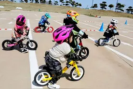 上海莘威再召回！近5万辆Runrider儿童平衡车存安全风险图片
