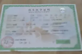 济南：出生医学证明可以网上办图片