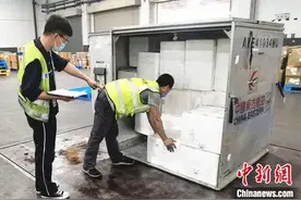杭州机场首批时令水果直飞欧洲 荔枝杨梅共计3039公斤图片