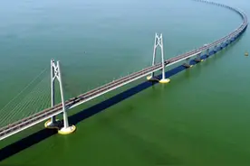 逐梦大湾区 奋斗正当时——港澳青年湾区创业记图片