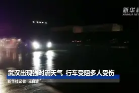武汉出现强对流天气  行车受阻多人受伤视频封面