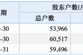 这家上市公司遭立案调查！5.4万股民懵了，停牌前连续三个跌停！发生了什么？图片