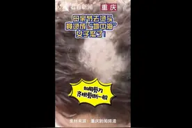 烫发变成“地中海”店家跳舞挑衅，女子崩溃：三天没睡觉，两天没吃饭图片