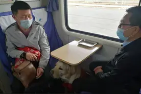 这条狗为什么能上火车？图片