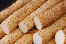 入夏之后湿气重，这3种食物不妨常吃图片