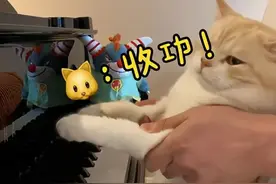 猫咪弹钢琴？杭州帅气男老师一段视频爆火！网友评论亮了图片