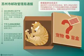 “宠物盲盒”背后：低价猫狗从何而来图片