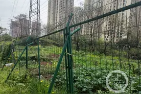 半夜一群流浪狗疯狂吠叫遭多次投诉 最后社区想出了这样的办法 ......图片