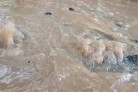 马路上出现“喷泉”，疑因地下管道不堪重车碾压爆裂图片
