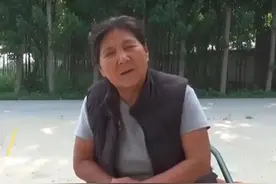 这位山东大姐收养了1700只流浪狗！因舍不得它们，拒绝和女儿出国图片