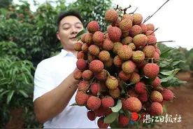 荔枝网红新吃法伴你清凉一夏图片