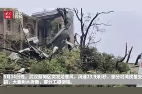 海报直击丨武汉龙卷风之夜：半米粗树木被连根拔起、瓦房瞬间“秃头”、铁片飞到百米外图片