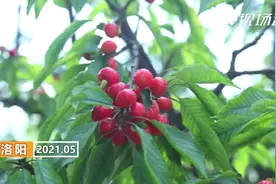 考验你意志力的时候到啦！控制住，不要“舔屏”哦！视频封面