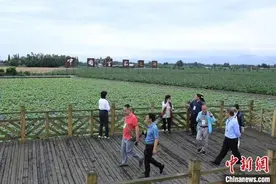 海外华媒探访“中国雪茄之乡”什邡 感受中式雪茄文化魅力图片