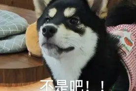 苹果“库存新机”变“翻新机”！男子怒告店家索3倍赔偿……图片