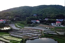 和兄弟姐妹一起向前图片