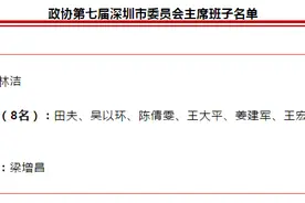 新一届深圳市政协主席、副主席、秘书长名单出炉图片