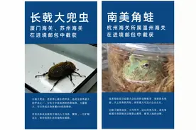 有些镜头下的小可爱，你万万“养不得”图片