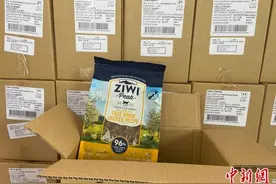 借自贸区“东风”义乌打造进口宠物用品集散分拨中心图片
