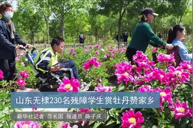山东无棣230名残障学生赏牡丹赞家乡视频封面