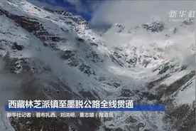 西藏林芝派镇至墨脱公路全线贯通视频封面