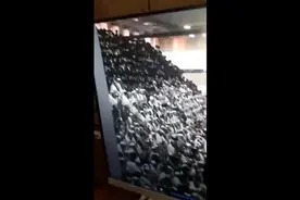 以色列犹太人传统活动一看台坍塌，数排民众瞬间掉落，已致2死167伤图片