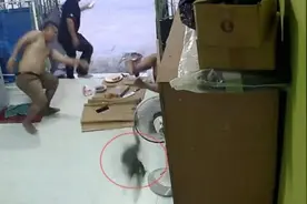 三男子在门口吃烧烤 蜥蜴突然出现打扰美餐时间图片