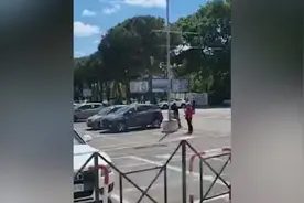 意大利罗马一名女子在超市停车场被一群野猪“打劫”图片