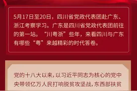“川粤浙”些年｜一起深“粤”读图片