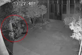 孙女离家前，87岁爷爷凌晨摘樱桃送去！网友：被偏爱真好图片