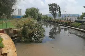 中央环保督察点名玉溪杞麓湖治理搞表面工程：干扰水质监测视频封面