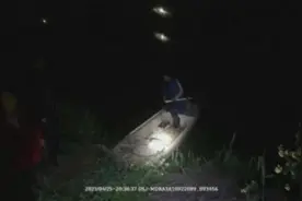 盐城夫妻夜抓癞蛤蟆 涉嫌违法被审查起诉图片