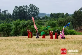 风吹麦浪 这里有你要的诗和远方丨图集图片