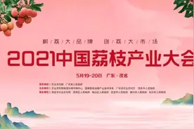 荔枝百态｜喝一杯荔枝酒，笑看绯红外壳下妩媚的风情图片