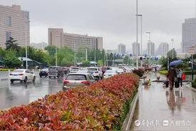 4月多下一倍的雨，5月多下三成！青岛强对流天气多发需注意防范图片