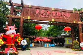 东莞六个特色小镇纳入省级管理名单图片