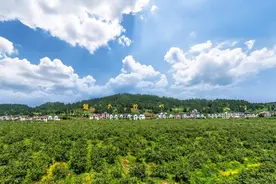 创建天府旅游名县 资阳首先“突围”的为什么是安岳图片