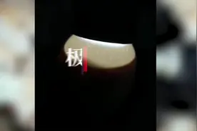 看我们多可爱！这群农校中职生苦守21天人工孵出小鸡娃图片